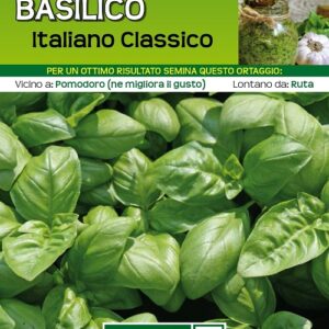 Basilico Italiano Classico