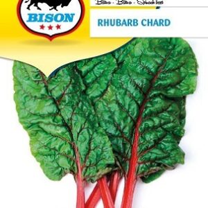 Bietola da Coste Rhubarb Chard