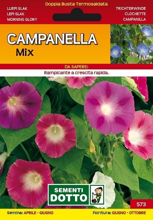 campanella-1