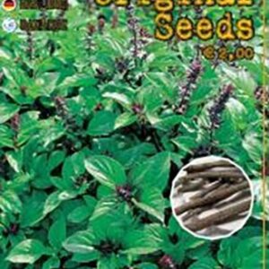 Basilico alla liquirizia