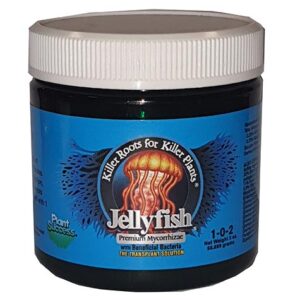 Jellyfish 2 oz / 50 gr