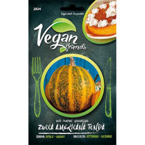 Zucca Americana Tonda