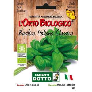 Basilico Italiano Classico