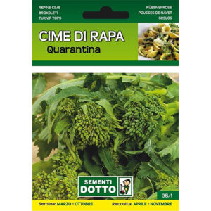 Cime di Rapa Quarantina