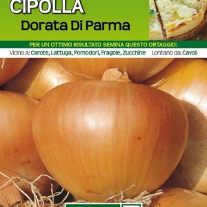 Cipolla Dorata Di Parma