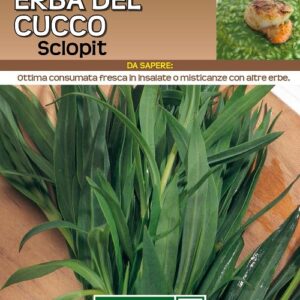 Erba Del Cucco O Sclopit