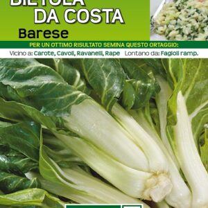 Bietola Da Costa Barese Extra