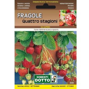 Fragola Rifiorente