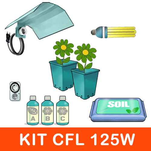 kit_cfl_150w_1