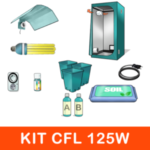 Kit Mini Grow Box CFL Crescita 125W