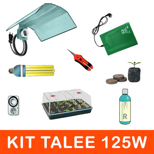 kit_talee_cfl_pro_try_new