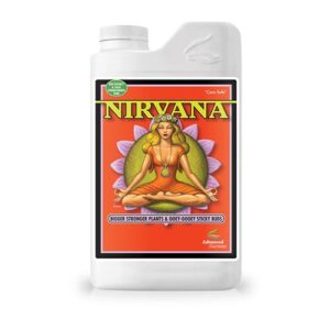 Nirvana 1L
