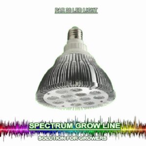 Lampada Spectrum PAR 38 - VG Vegetativa 15W