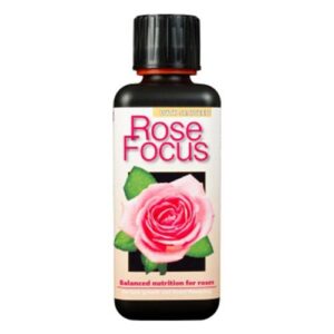 Rose Focus 300 ml